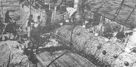 Богатые дары моря - БМРТ-227 Август Алле 09 07 1966 фото П. Кудрина