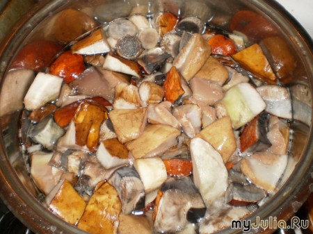 Грибники Ровбуты -  грибы на маринад - помимо сушки на кухне еще и варилось масса грибов в маринаде