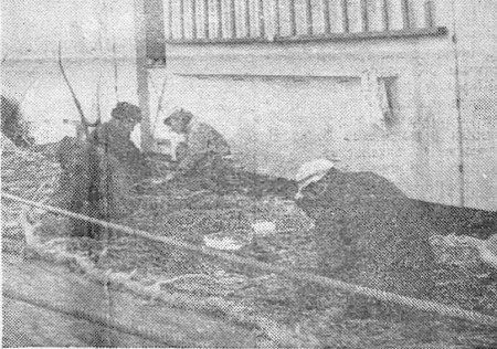 Вторая комплексная бригада занята ремонтом трала - РТМС-7510  Мустъярв 03 07 1976