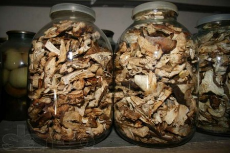сушеные грибы в Банке