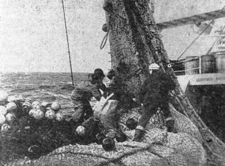 Любимцев со своей бригадой обрабатывает трал в Северном море - БМРТ-436  Кристиан Рауд 10 01 1968