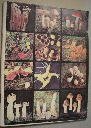 выставка грибов  - путеводитель  1979