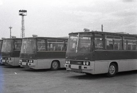 новые  автобусы  Ikarus- 250  в таллинском Автобусном парке - 1971