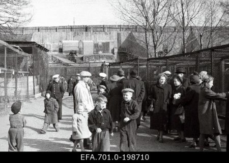 посетители в Таллинском зоопарке  1955