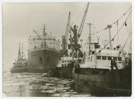ПБ Фридерик Шопен и СРТРы  в рыбном порту у причала 1966