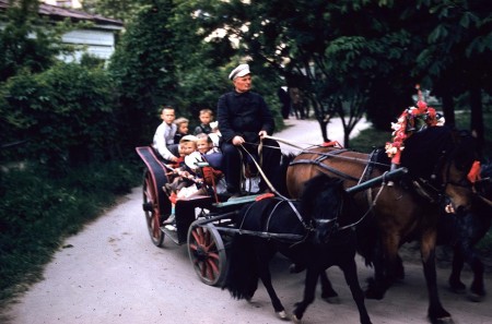 Харьков -  дети катаются в  конном экипаже