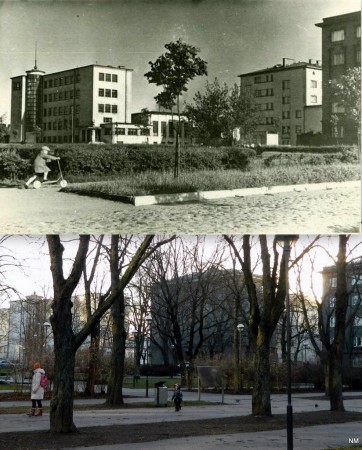1950 - Пионерский - 2015 год Полицейский парк