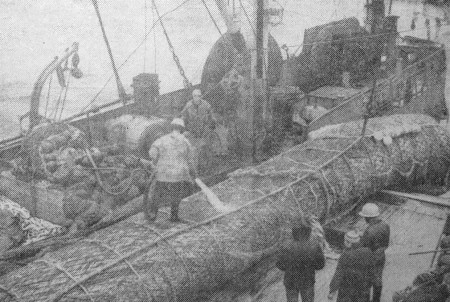 высок   трудовой ритм наших моряков - БМРТ-355 Антон Таммсааре 30 12 1976