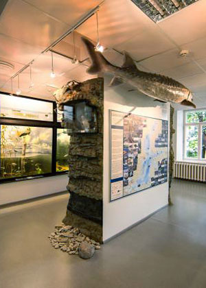 эстонский  музей  Природы