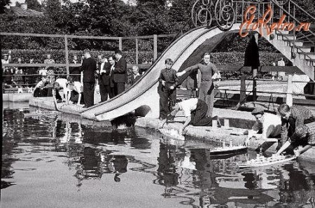 Открытый бассейн Динамо в парке Кадриорг (теперь на этом месте детская площадка) 60-е