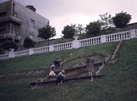 Харьков -  женщины  украшают  газон