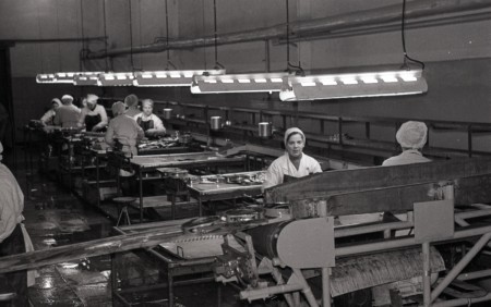 Производство рыбных консервов в Эстрыбпром 1979
