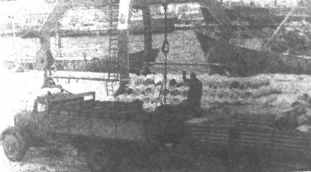 На автомашины грузится сельдь, доставленная траулером  - ТМРП  20 01 1968