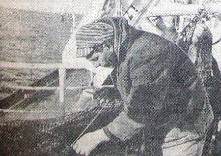 Зуев Лев старший мастер добычи  БМРТ 604 Рудольф Сирге  ремонтирует рубашку трала - 27 июня 1974 года