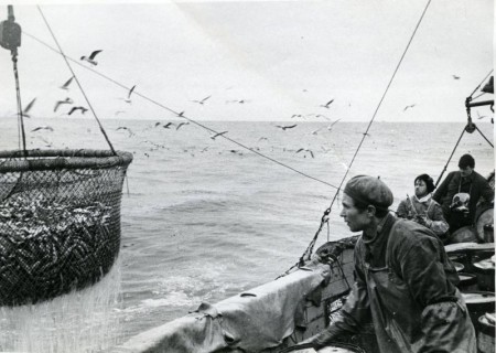 рыбаки ТБОРФ на лове сельди   1968
