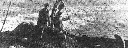 Идет рыба  - БМРТ-227 Аугуст Алле  15 06 1968