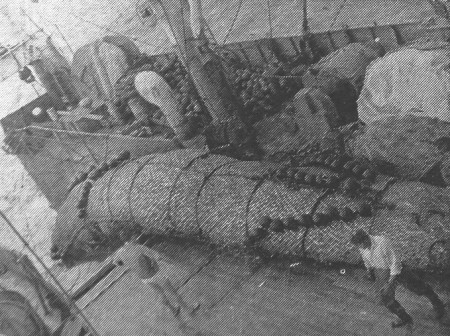 Хорошо  трудился  экипаж БМРТ-355 -  21 04 1965 фото М. Никольского