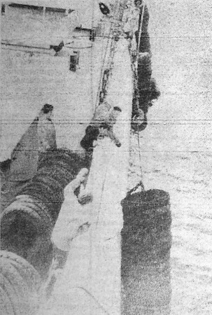 ТР Нарвский залив - подъем кранцев  - 08 02 1973