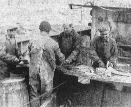 шкерка рыбы - СРТР-9062  25 03 1967 фото матроса В. Шуржунова