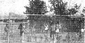 Экипаж в товарищеском матче по волейболу с работниками посольства СССР в Лагосе - БМРТ-538 Херман Арбон 21 01 1970