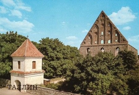 таллин. развалины монастыря в  пирита