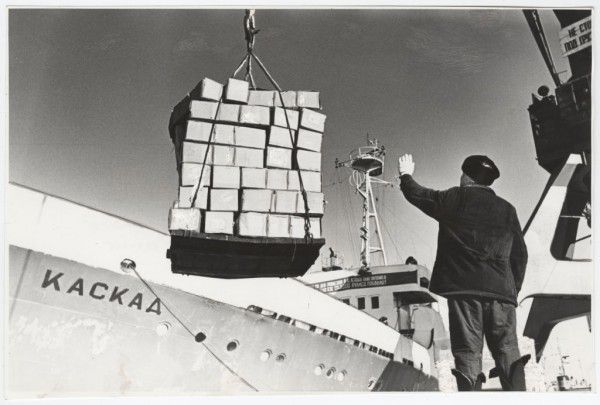 БМРТ-431   Каскад  - разгрузка  в  рыбном  порту  таллинна   1968  год