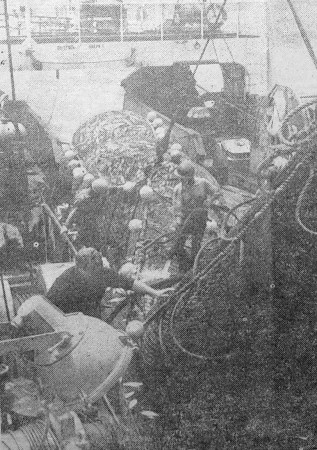 Такими  богатыми уловами доволен весь экипаж - БМРТ-605 Мыс Челюскин 28 12 1976   Фото А. ОРЕШКО.