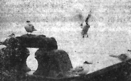 Чайки отдыхают на воде или на планшире - БМРТ-333 07 10 1967