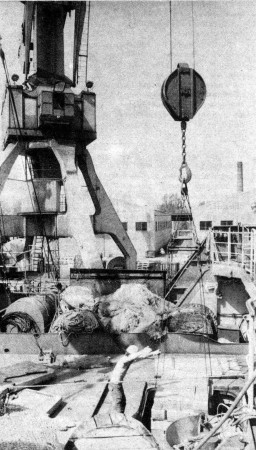 В порту на разгрузке - БМРТ-604  Рудольф Сирге   18 06 1992