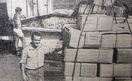 Ботнарь  А. матрос-тальман  у стропа с сардинеллой  БМРТ  250  6 июня 1972