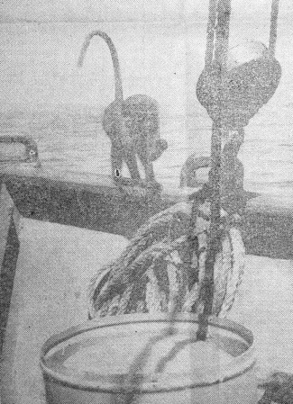 Обезьянка Яша на борту - БМРТ-457  Каарел Лийманд 08  08 1977