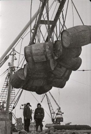 разгрузка судна в Таллинском рыбном порту  1965