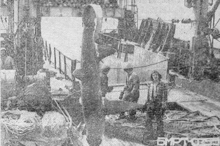 В трал БМРТ-355  попалась, акула, именуемая морской лисицей – 06 09 1977