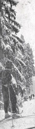 В Мустамяэ в зимний день  - 01 01  1966