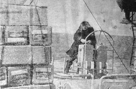 На  выгрузке  рыбопродукции - БМРТ-355  АНТОН ТАММСААРЕ 05 06 1973
