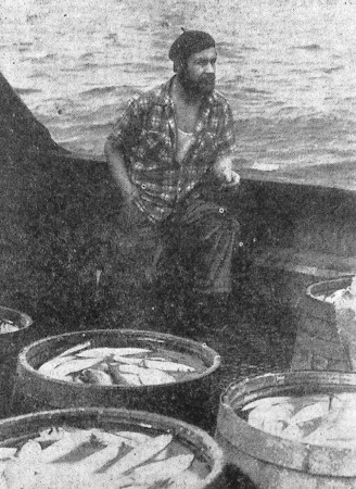 Хороша рыба  - СРТР-9062 07 06 1967 фото матроса В. Шуржунова