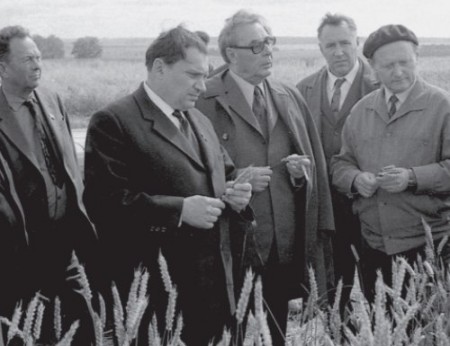 На полях опытного хозяйства по выращиванию зерновых культур. 1971 г.