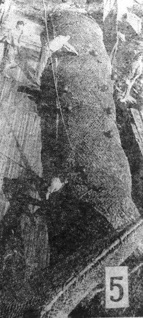 Каск Лембит старший тралмастер   открывает карман трала  для выливки рыбы - БМРТ-436   Кристьян  Рауд 15 03 1968