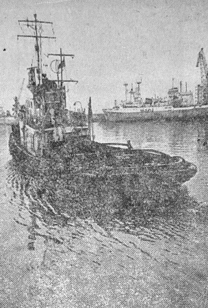 Таллинский рыбный порт 02 06 1977