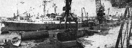 Таллинский морской рыбный порт сегодня  - 29 11 1979