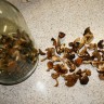Грибники Ровбуты - сушеные грибы