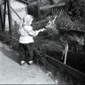 девочка кормит косулю в Таллинском зоопарке  1967