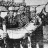 В один из тралов попала рыба-меч – БМРТ-250  Яан Коорт 14 10 1971