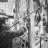 Шубин матрос  убирает судно  - БМРТ-463 Андрус Йохани 20 02 1970