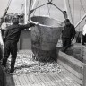 Вид на палубу рыболовного траулера. Рыбаки, работающие с пойманной рыбой 1981