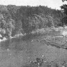 Река Пирита летом  - Таллин 17 07 1968