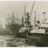 ПБ Фридерик Шопен и СРТРы  в рыбном порту у причала 1966