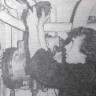 Бердников Ю. работает котельным машинистом -  БМРТ-250 Яан Коорт  02 11 1974