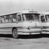 автобусы ЛАЗ-Турист   таллиннского автобусного парка 1970png
