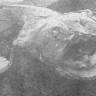 морской черт, который нагоняет страх на всех рыб - БМРТ-598  РИХАРД МИРРИНГ 16 12 1976  Фото  А.   КИВИСИЛЬДА.